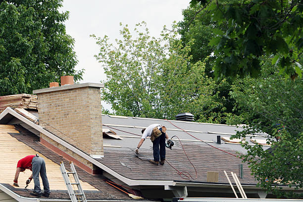 Best Metal Roofing Contractor  in Rome, NY